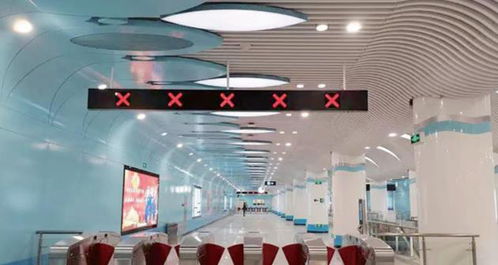 創(chuàng)新技術(shù)，產(chǎn)品為王——對話深圳茂碩電子科技總經(jīng)理謝擁軍